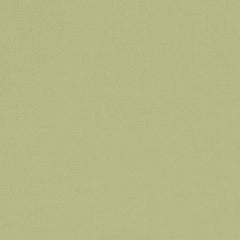 Devonstone Solid - Pistachio
