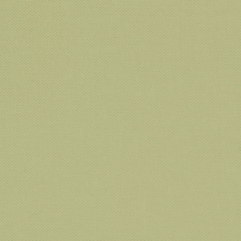 Devonstone Solid - Pistachio