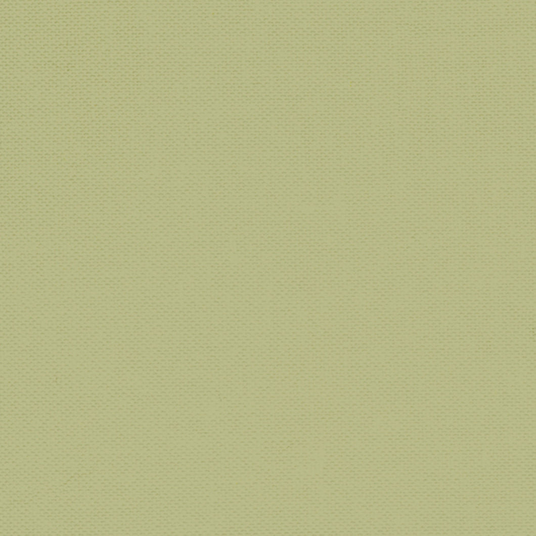 Devonstone Solid - Pistachio