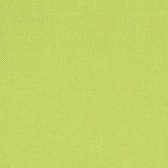 Devonstone Solid - Grasshopper