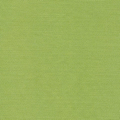 Devonstone Solid - Light Green