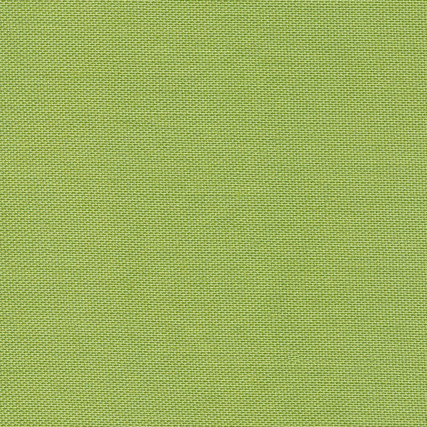 Devonstone Solid - Light Green