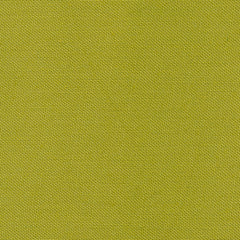 Devonstone Solid - Mid Green