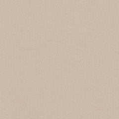 Devonstone Solid - Ecru