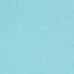 Devonstone Solid - Mint