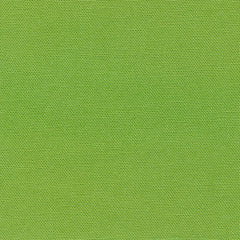 Devonstone Solid - Coral Green