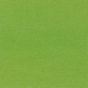 Devonstone Solid - Coral Green