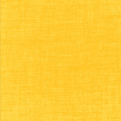 Building Block Basics Texture - Sunny