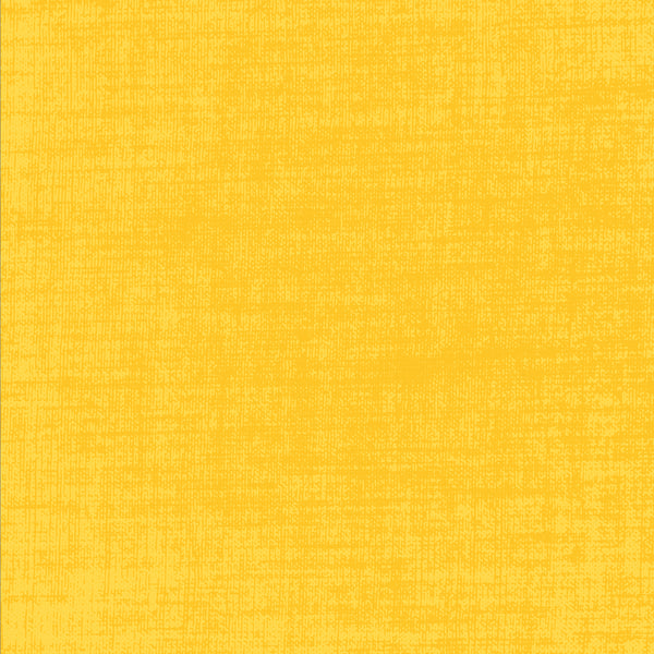 Building Block Basics Texture - Sunny