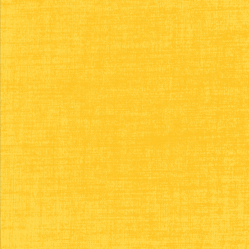 Building Block Basics Texture - Sunny