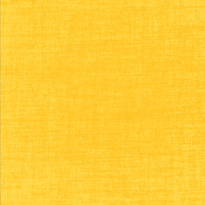 Building Block Basics Texture - Sunny