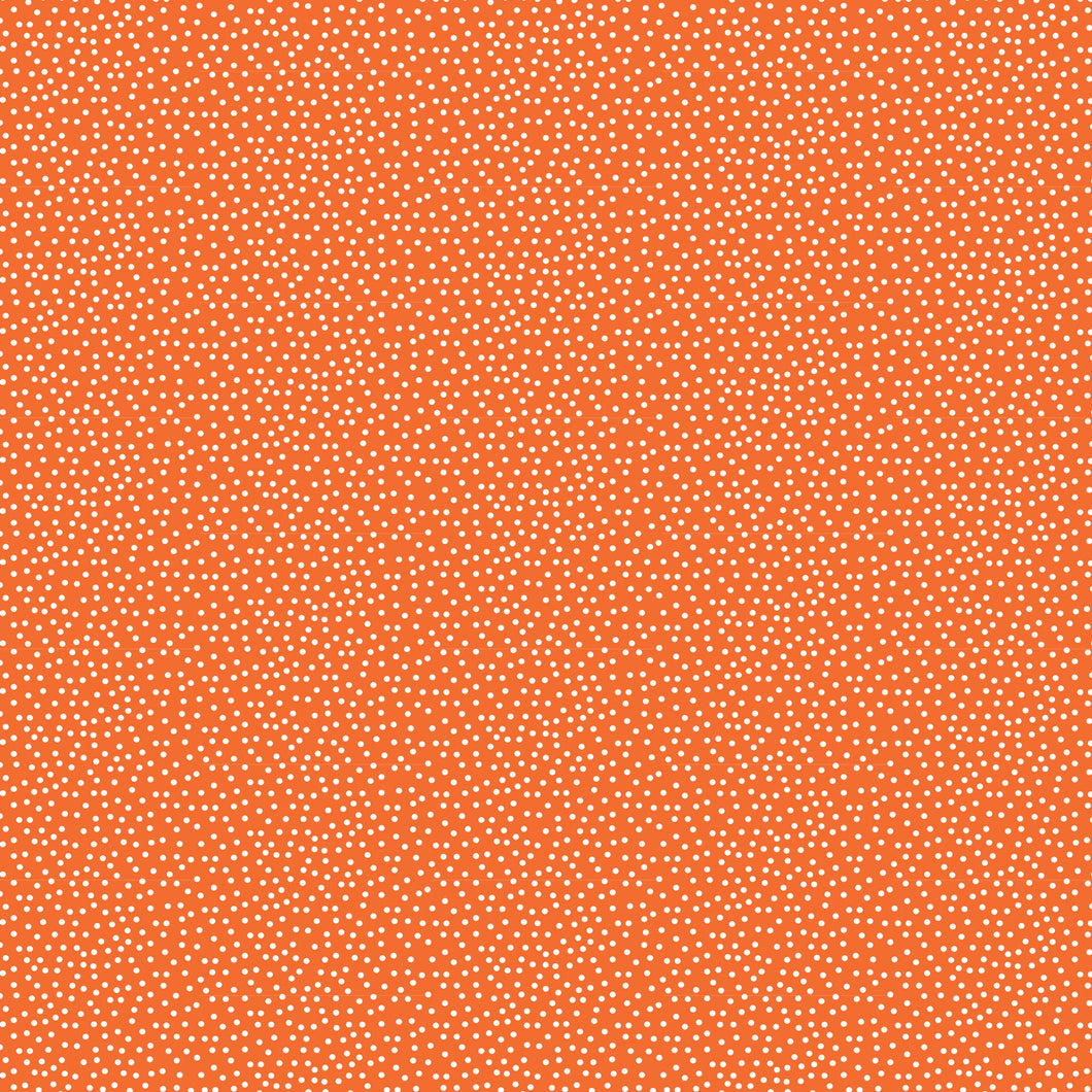 Confetti - Orange
