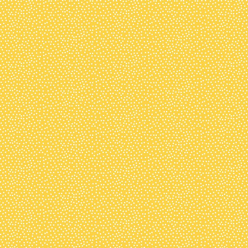 Confetti - Sunny