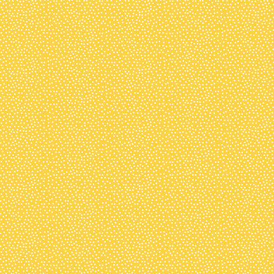 Confetti - Sunshine