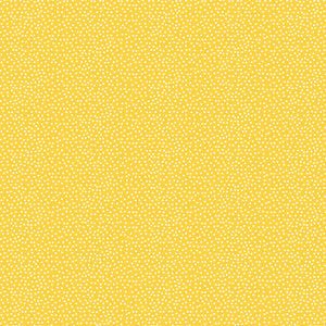Confetti - Sunny