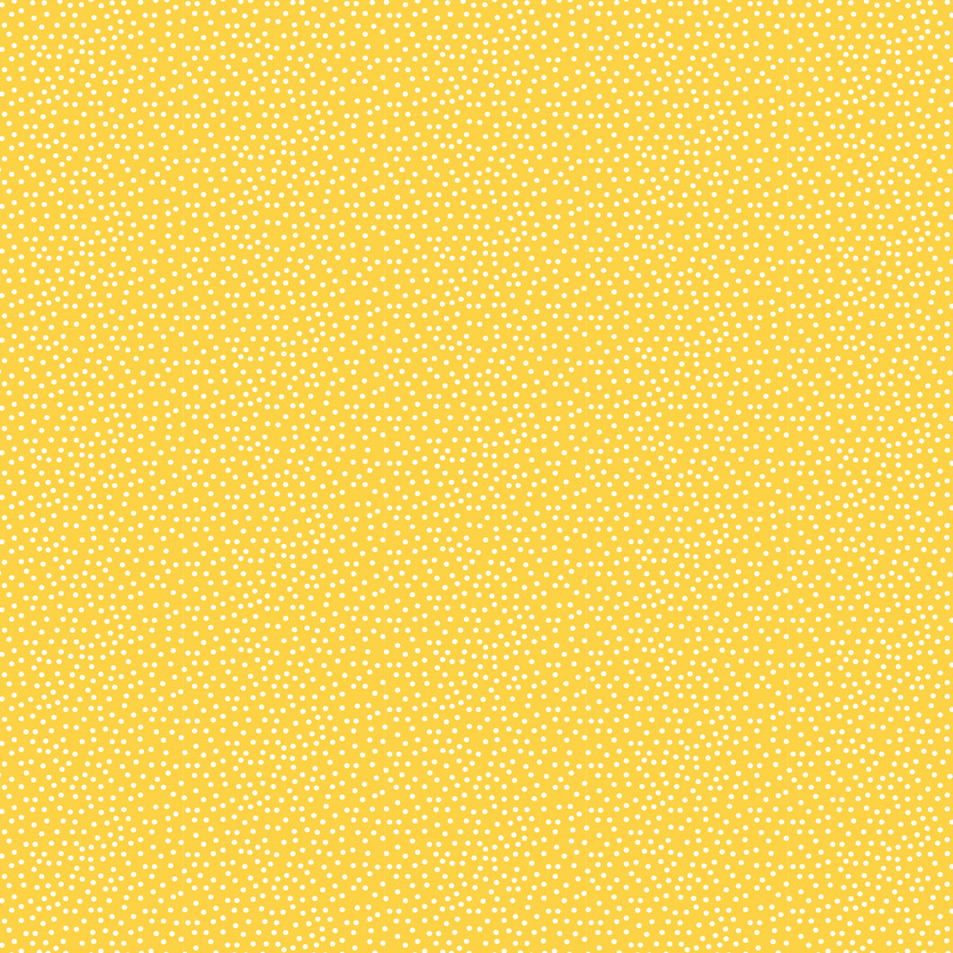 Confetti - Sunny