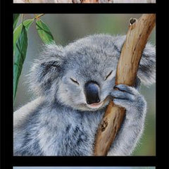 Wildlife Art 5 - DV3175