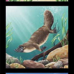 Wildlife Art 6 - DV3176