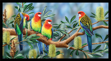 Wildlife Art - Eastern Rosellas - DV3701