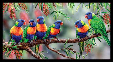 Wildlife Art - Rainbow Lorikeets - DV3702