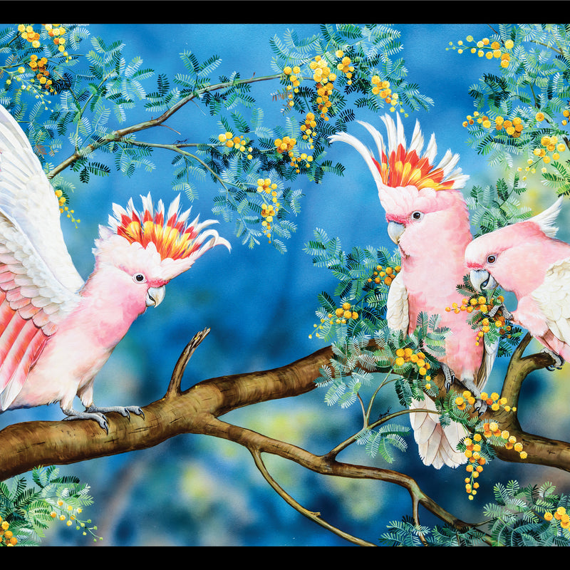 Wildlife Art - Galahs - DV3703