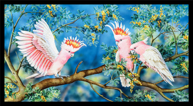 Wildlife Art - Galahs - DV3703