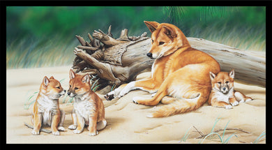 Wildlife Art - Dingoes - DV3704