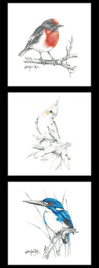 NJP Collection  - DV5090