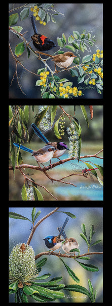 NJP Collection  - DV5094