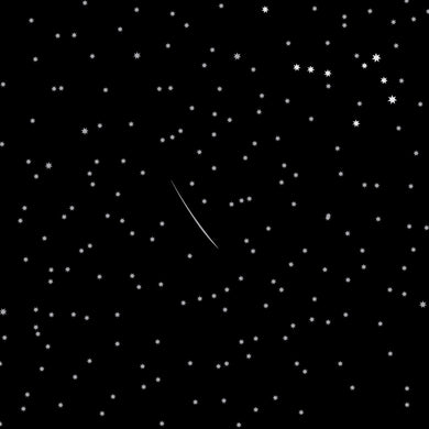 Bush Celebration - Starry Night
