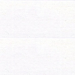 Rasant 1000m - White - R76 2002