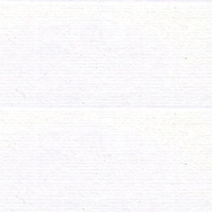 Rasant 1000m - White - R76 2002