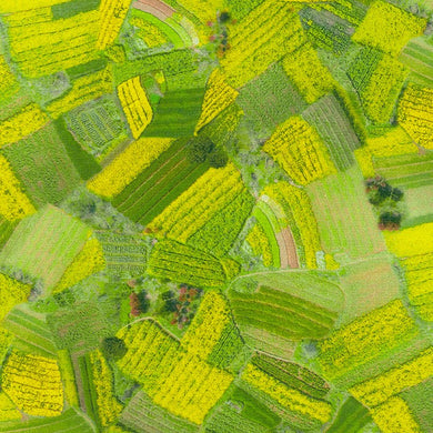 Imaginings - Farmland