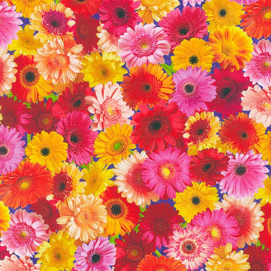Imaginings - Summer