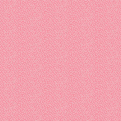 Confetti - Lolly