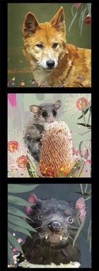 Karin Roberts Collection - DV3921