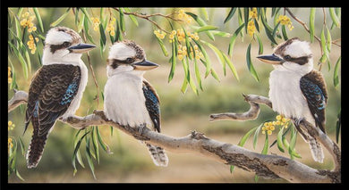 Wildlife Art - Kookaburras - DV3187