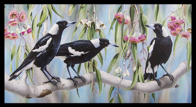 Wildlife Art - Magpies - DV3186